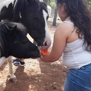 Meet your Posher, Santos